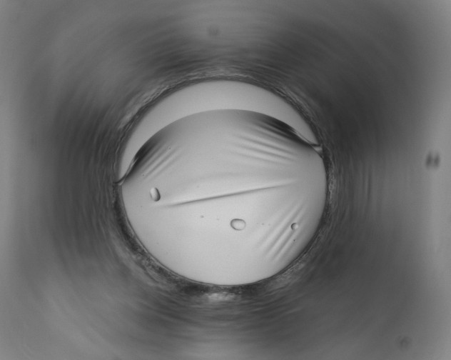 X0000110710158200907101252