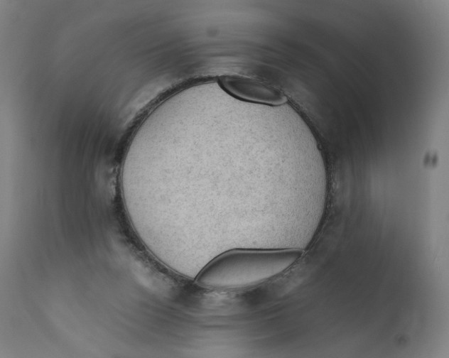 X0000110710160200907101252