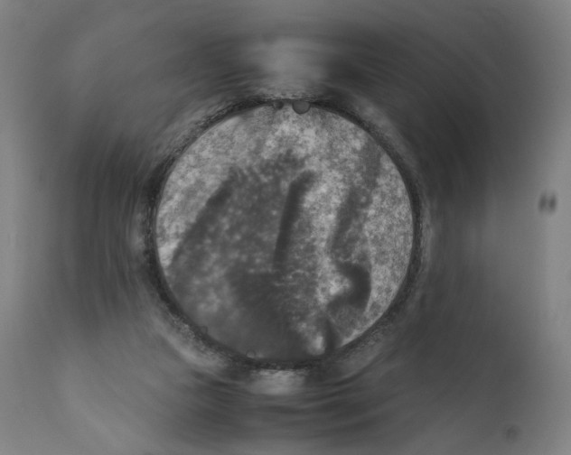 X0000110710161200907101252