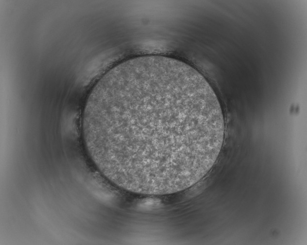 X0000110710162200907101253