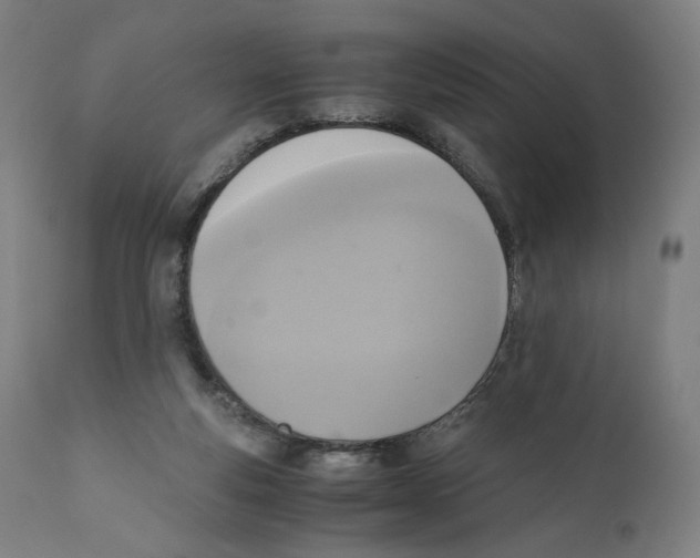 X0000110710163200907101253