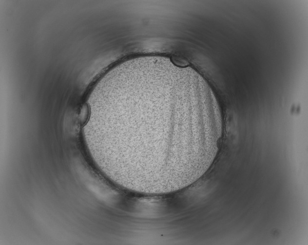 X0000110710164200907101253