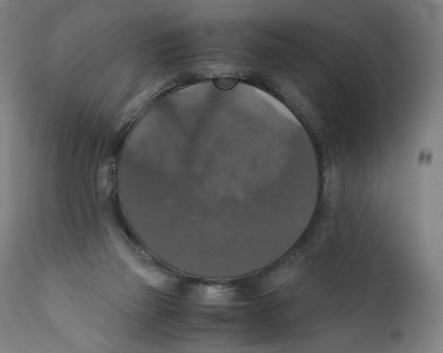 X0000110710165200907101253