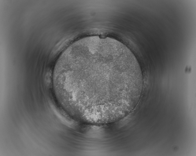 X0000110710166200907101253