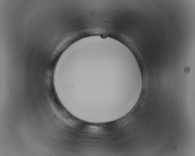 X0000110710167200907101253