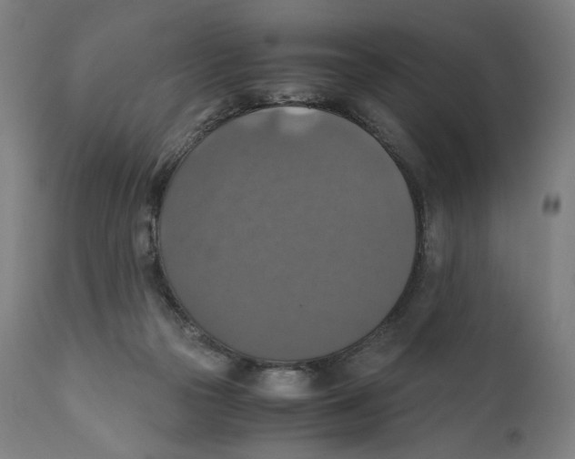 X0000110710169200907101253