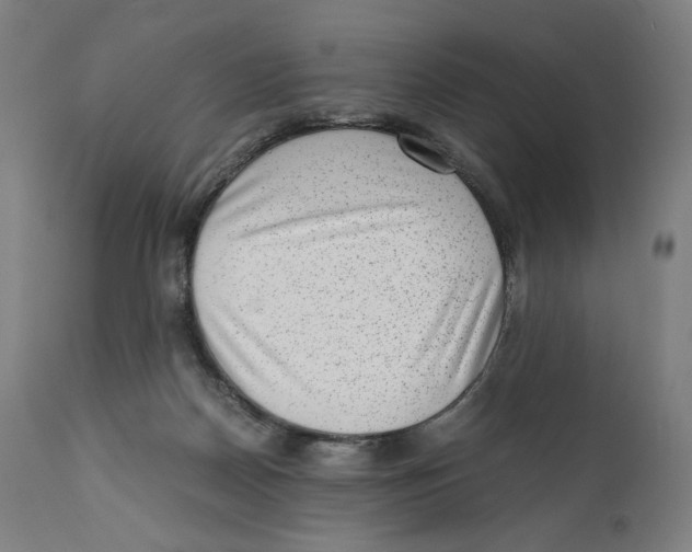 X0000110710170200907101253