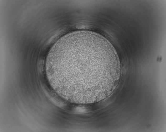 X0000110710171200907101253