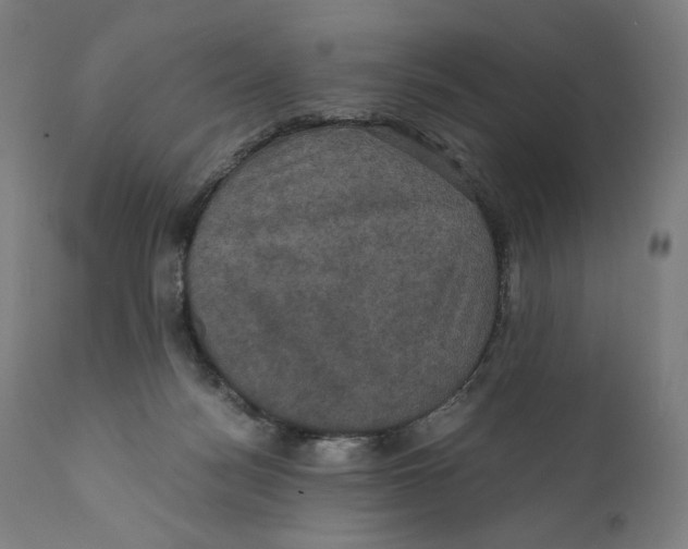 X0000110710172200907101253