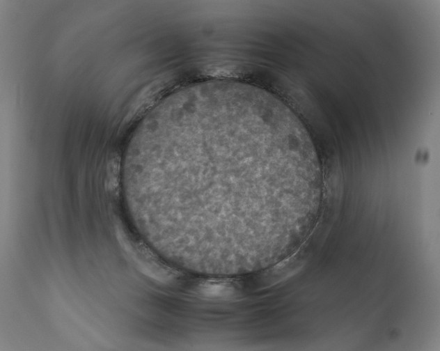 X0000110710175200907101253
