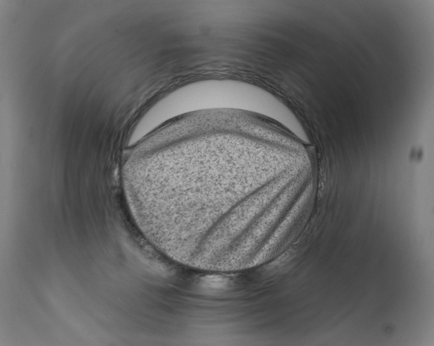 X0000110710176200907101253