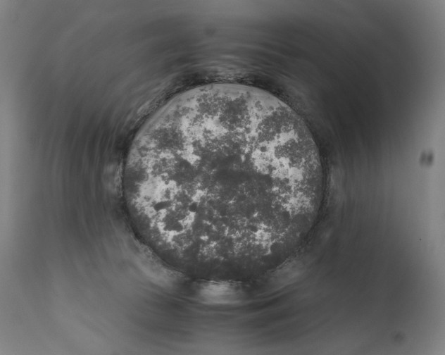 X0000110710177200907101253