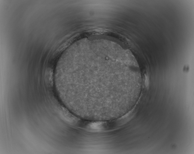 X0000110710178200907101253