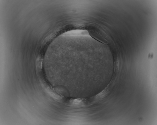 X0000110710180200907101253