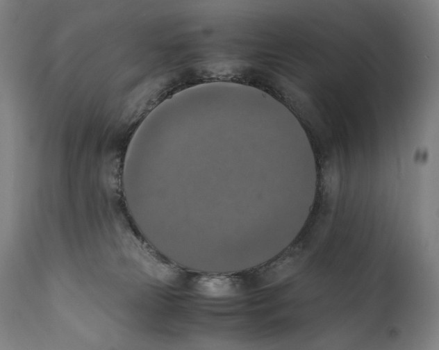 X0000110710181200907101253