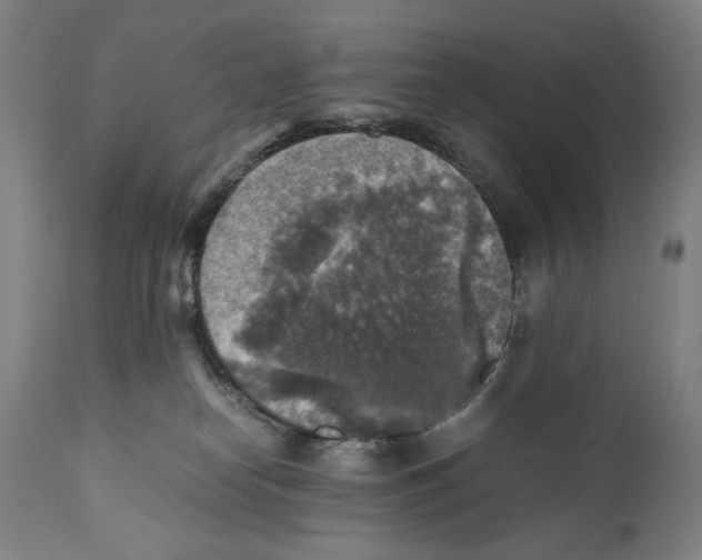 X0000110710182200907101253