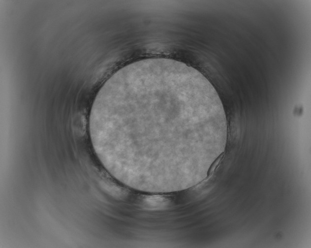 X0000110710183200907101253