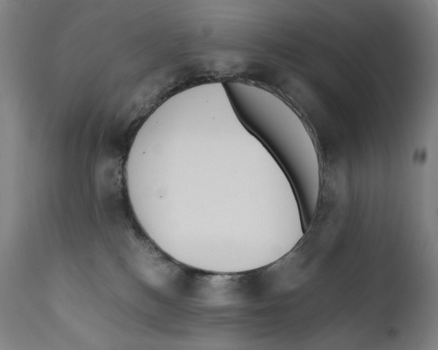 X0000110710184200907101253