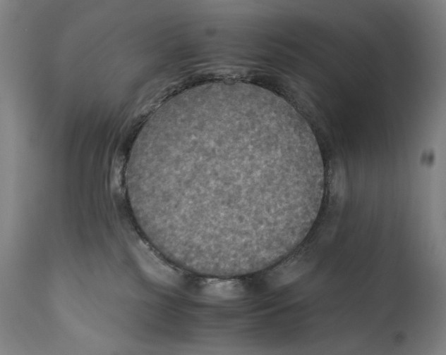 X0000110710185200907101253