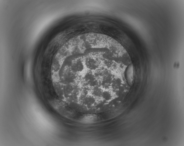 X0000110710189200907101253