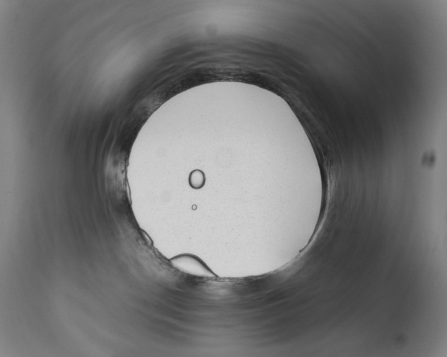 X0000110710190200907101253