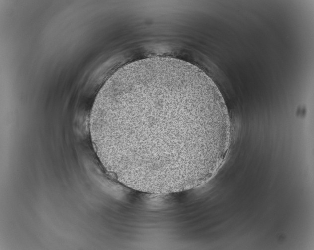 X0000110710191200907101253