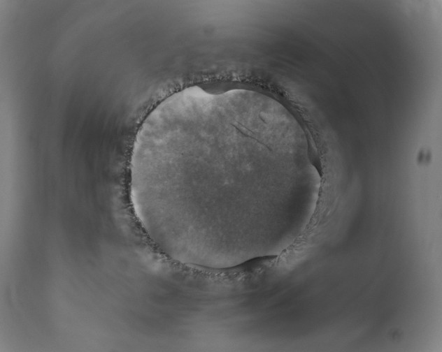 X0000110710192200907101253