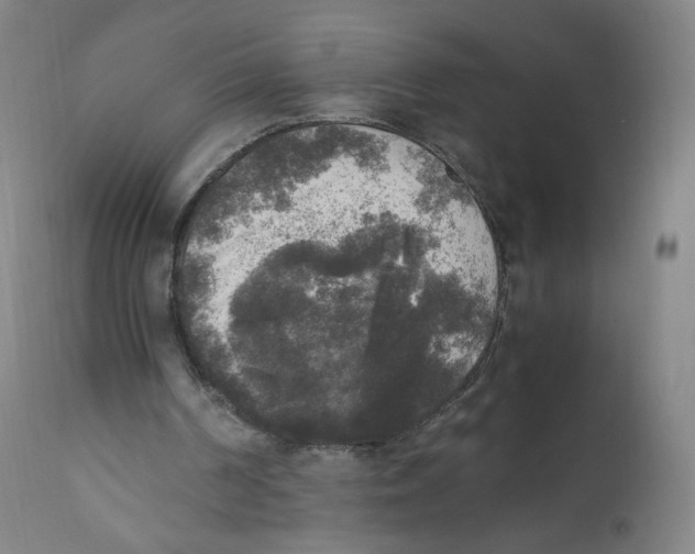 X0000110710194200907101252