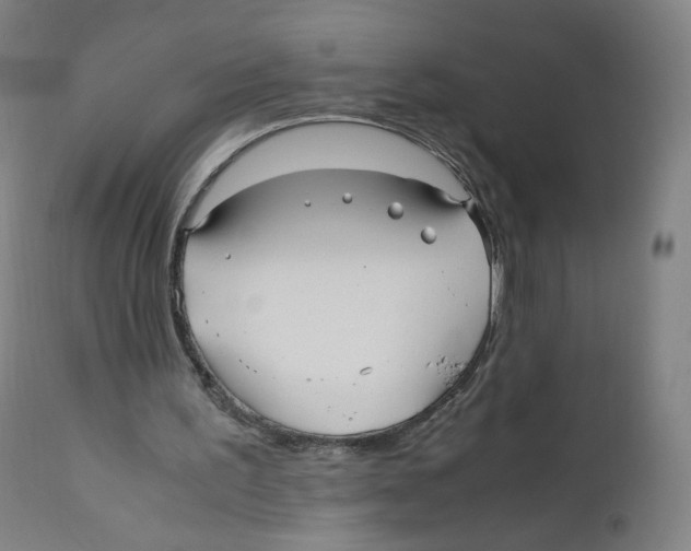 X0000110710195200907101252