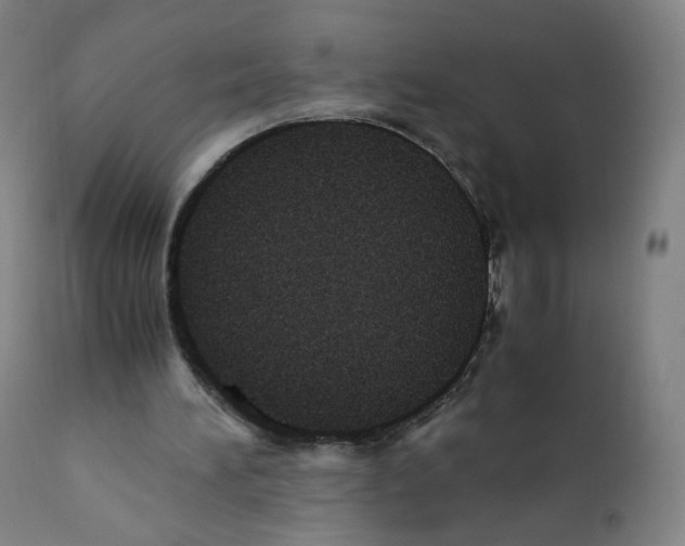 X0000110710196200907101252