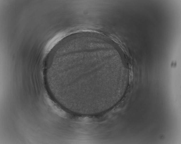 X0000110710197200907101252