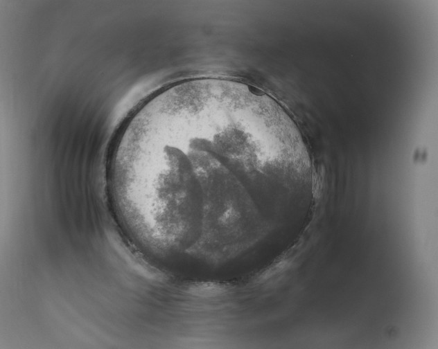 X0000110710198200907101252