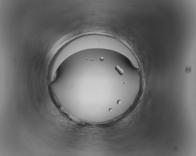 X0000110710199200907101252