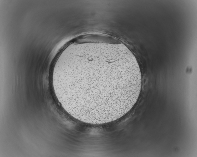 X0000110710200200907101252