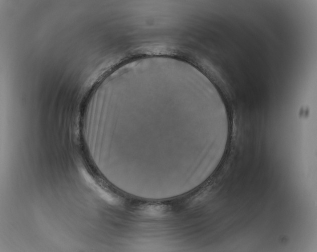 X0000110710202200907101252