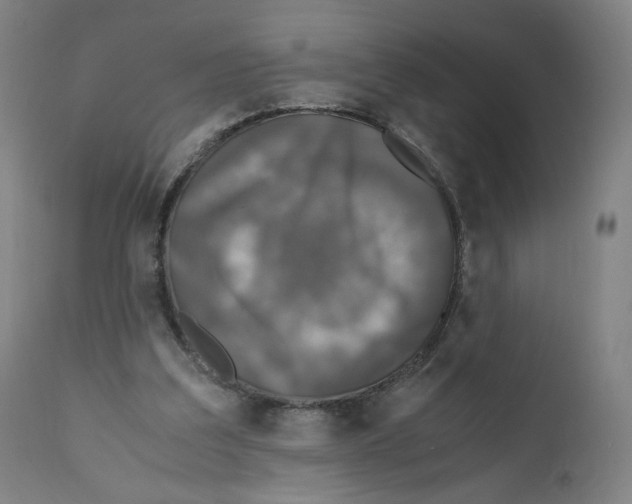 X0000110710203200907101252