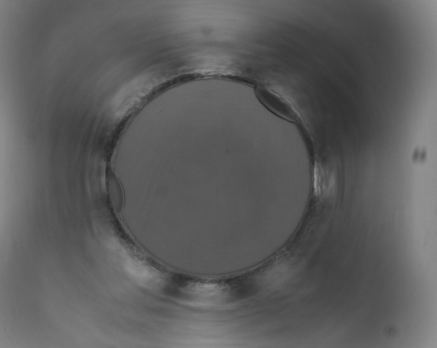 X0000110710205200907101252