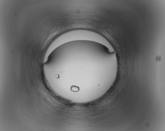 X0000110710207200907101252