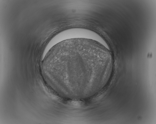 X0000110710209200907101252