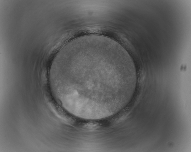 X0000110710213200907101252
