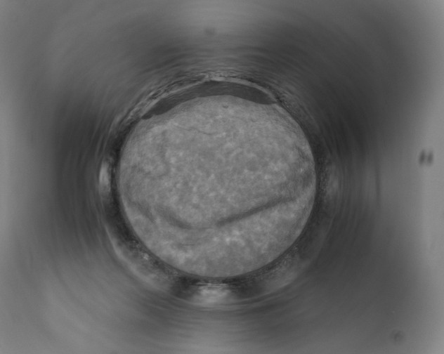 X0000110710214200907101252