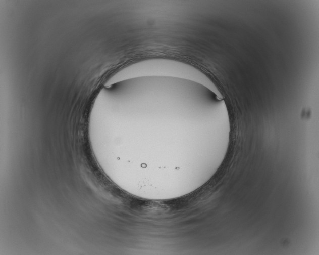 X0000110710215200907101252