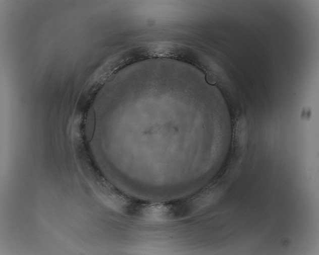 X0000110710217200907101252