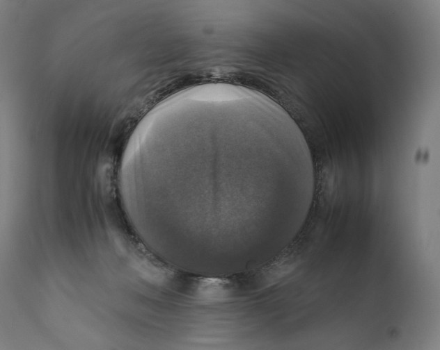 X0000110710222200907101252