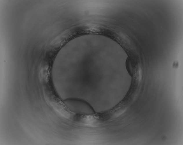 X0000110710223200907101252