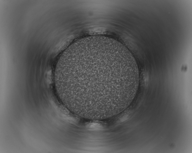 X0000110710224200907101252