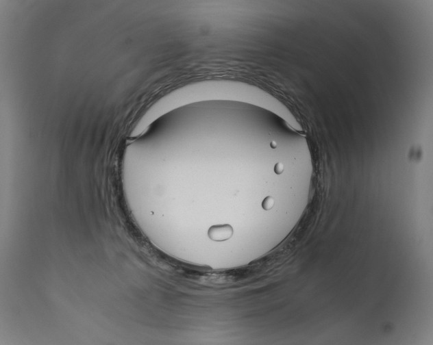 X0000110710225200907101252