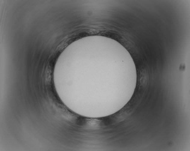X0000110710226200907101252