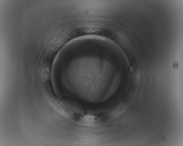 X0000110710227200907101252