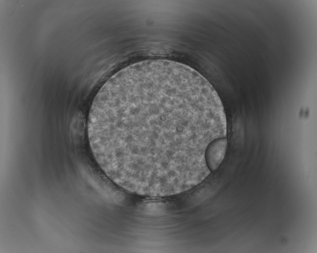 X0000110710228200907101252